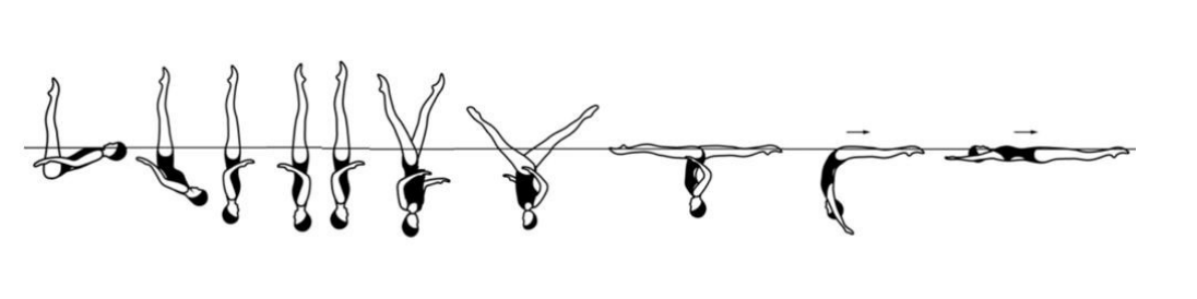 Technical Required Elements: Duet - Inside Synchro